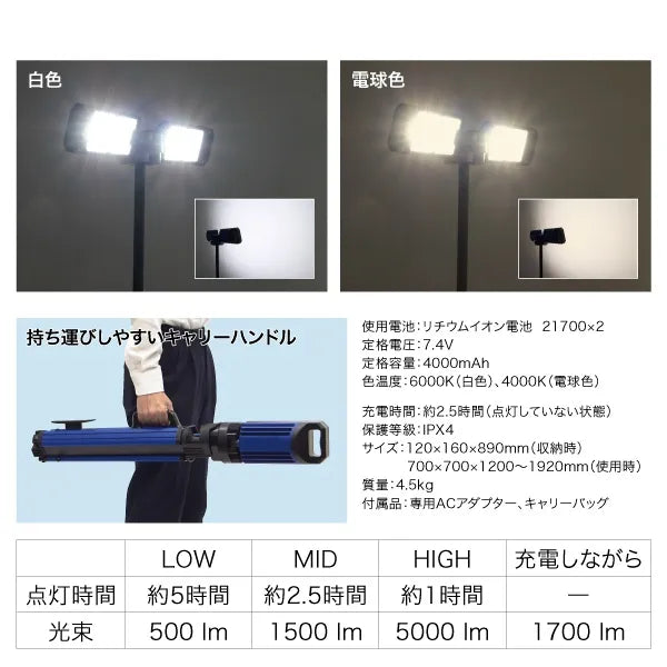 LED Carrying Work Light PCWL-190TW