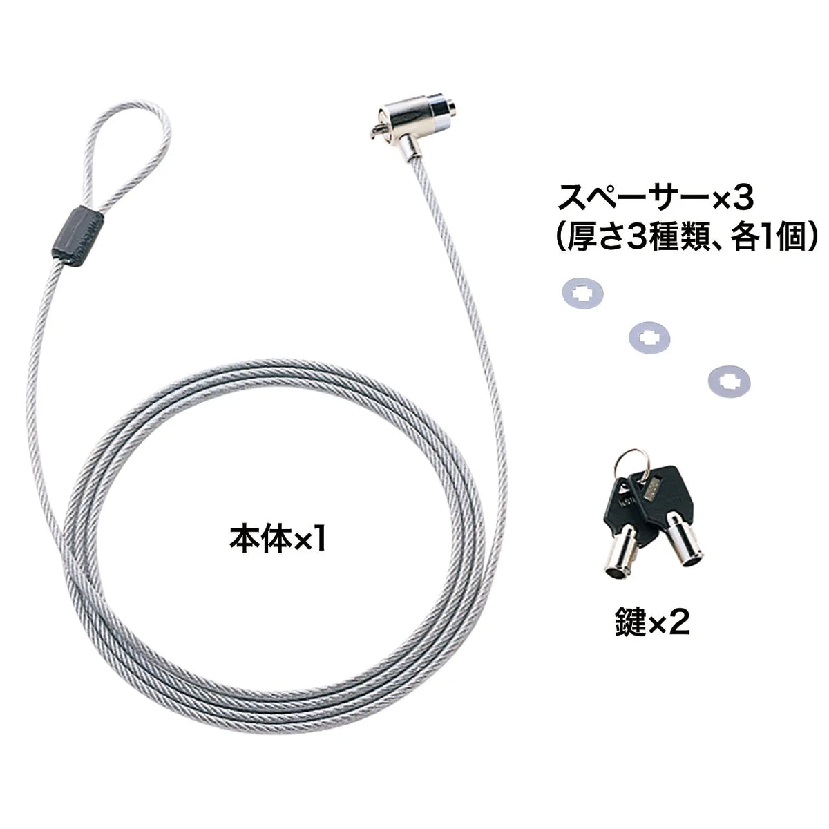 Laptop Security System SL-31S