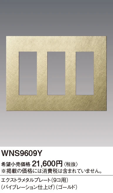 SO-STYLE WNS9609Y – Extra Metal Plate (9-Module) – Vibration Finish – Gold