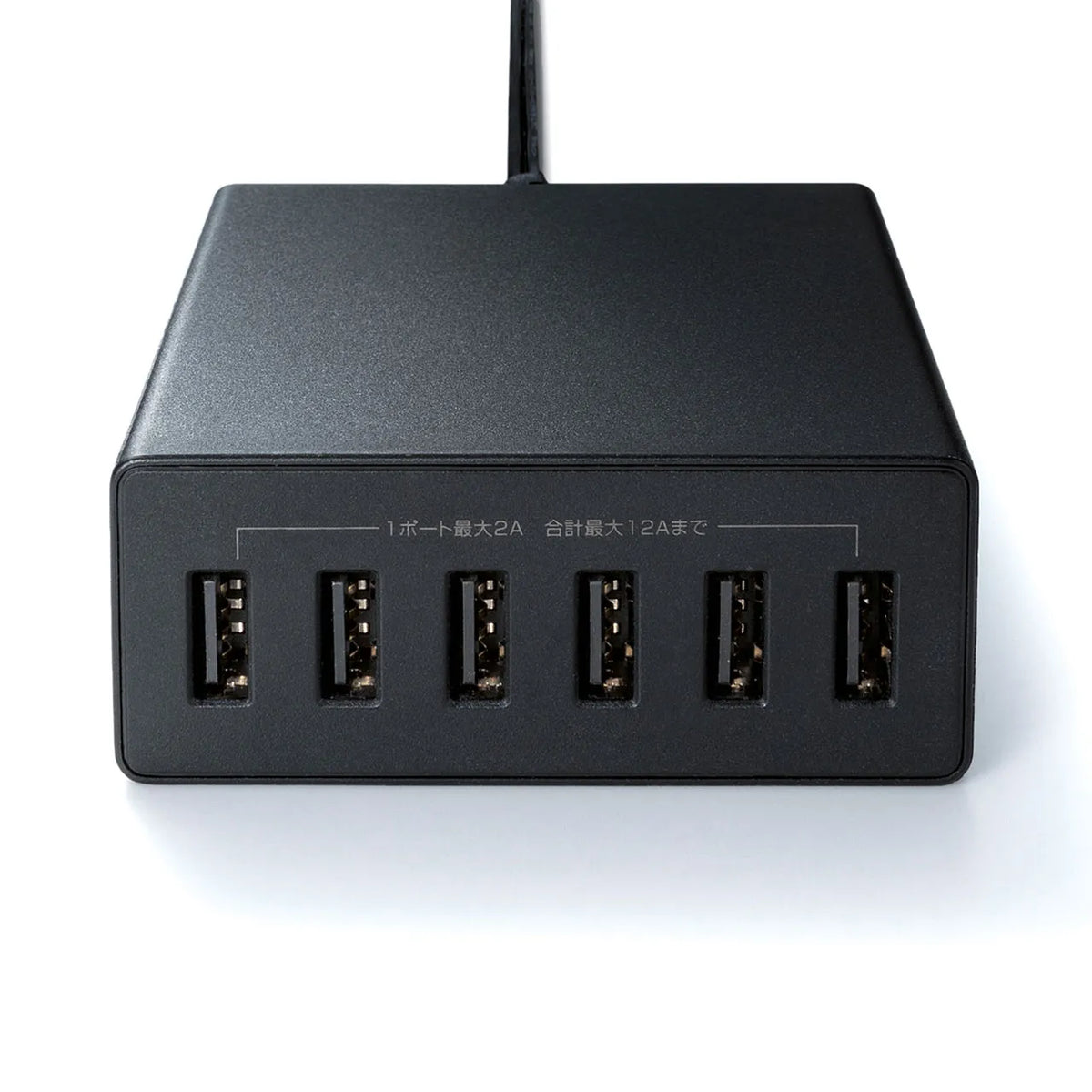 USB充電器（6ポート・合計12A・ブラック） ACA-IP67BK