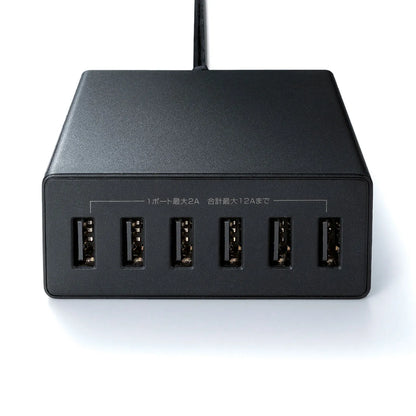 USB充電器（6ポート・合計12A・ブラック） ACA-IP67BK