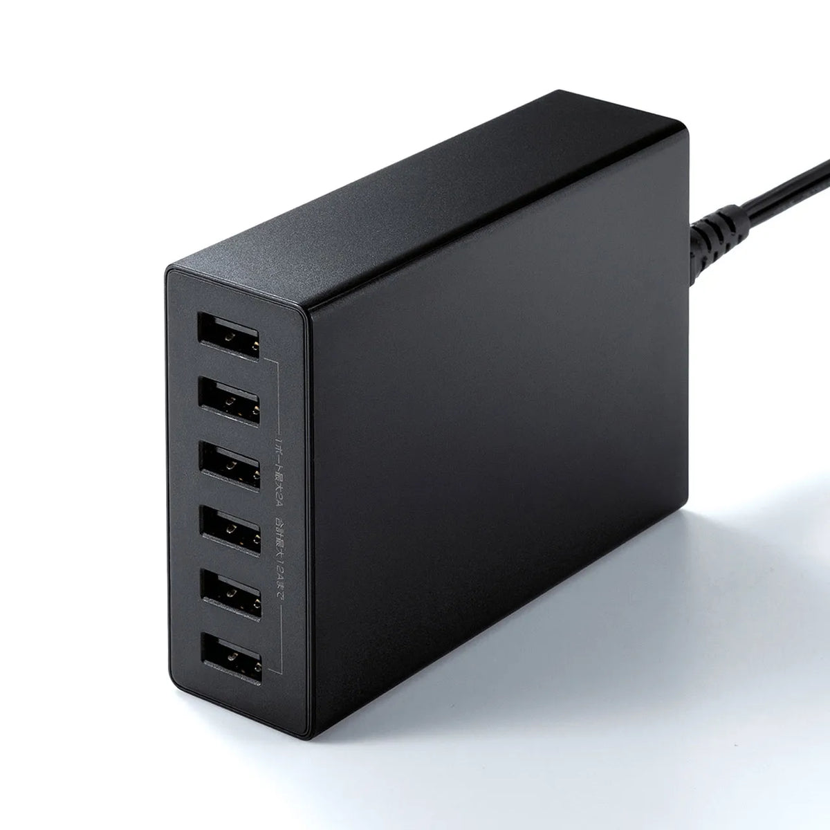 USB充電器（6ポート・合計12A・ブラック） ACA-IP67BK
