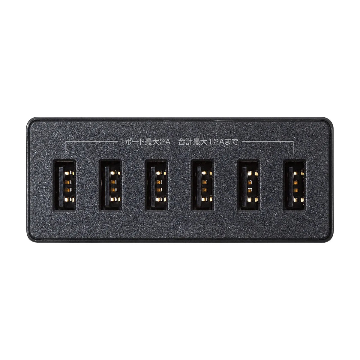 USB充電器（6ポート・合計12A・ブラック） ACA-IP67BK