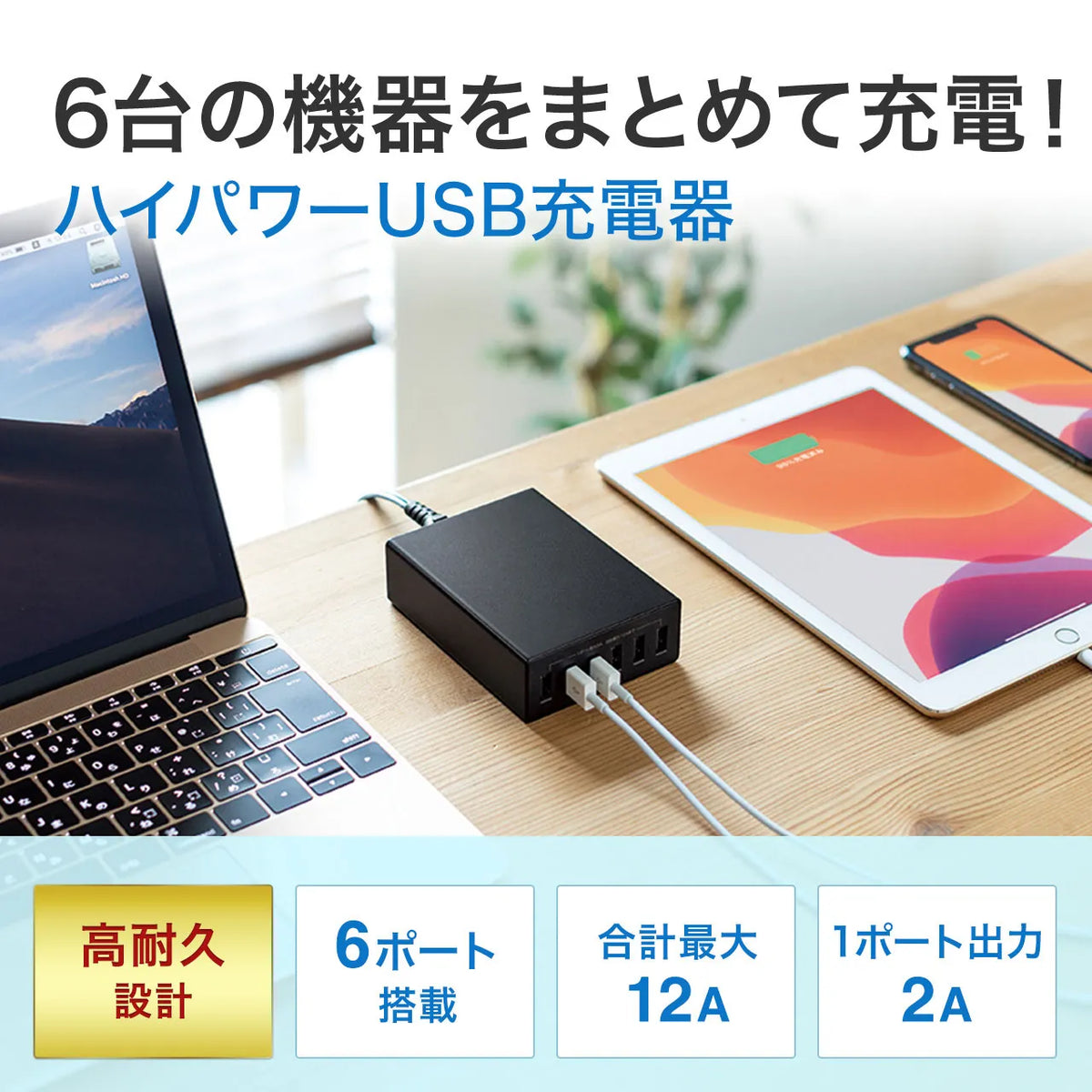 USB充電器（6ポート・合計12A・ブラック） ACA-IP67BK