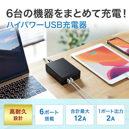 USB充電器（6ポート・合計12A・ブラック） ACA-IP67BK