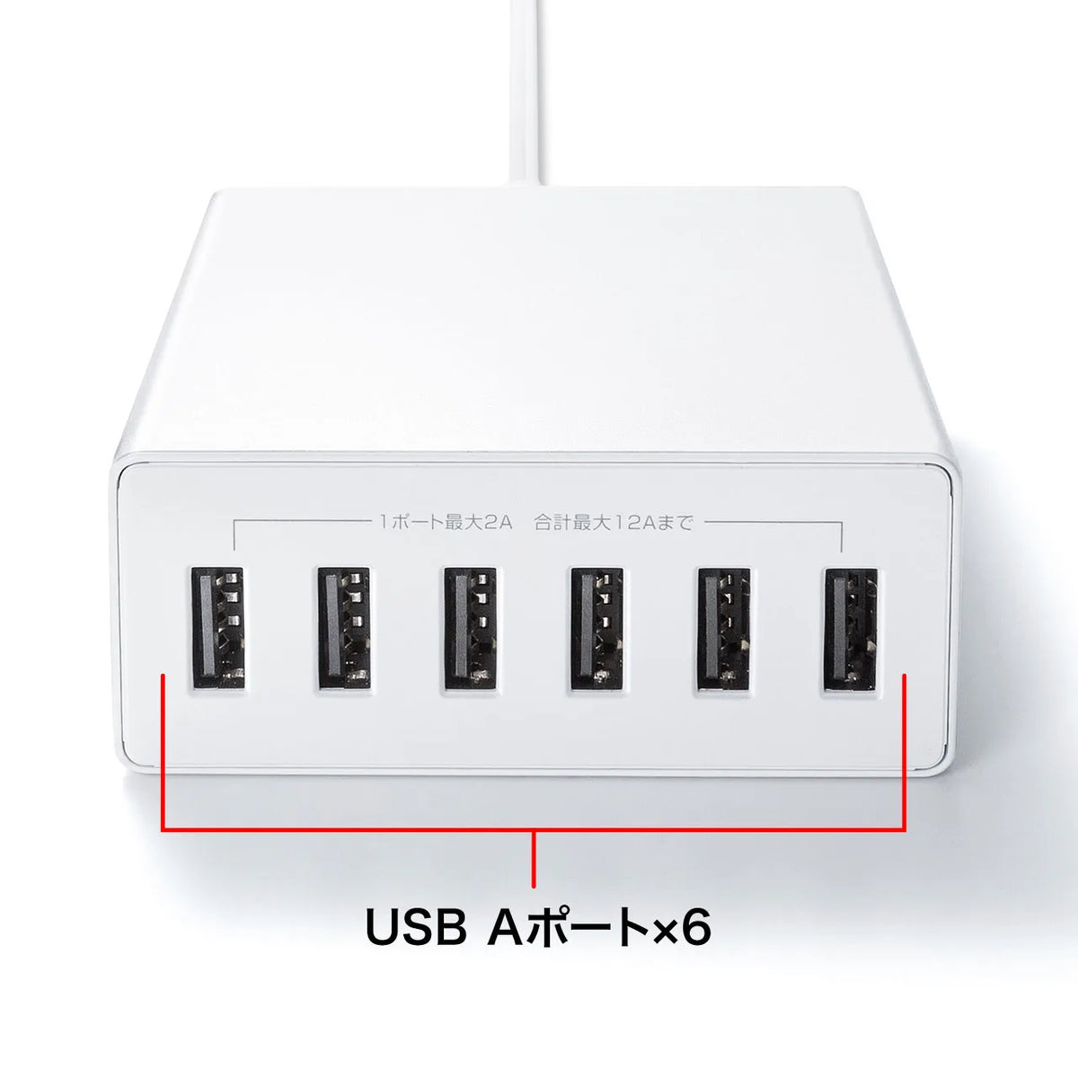 USB充電器（6ポート・合計12A・ホワイト） ACA-IP67W