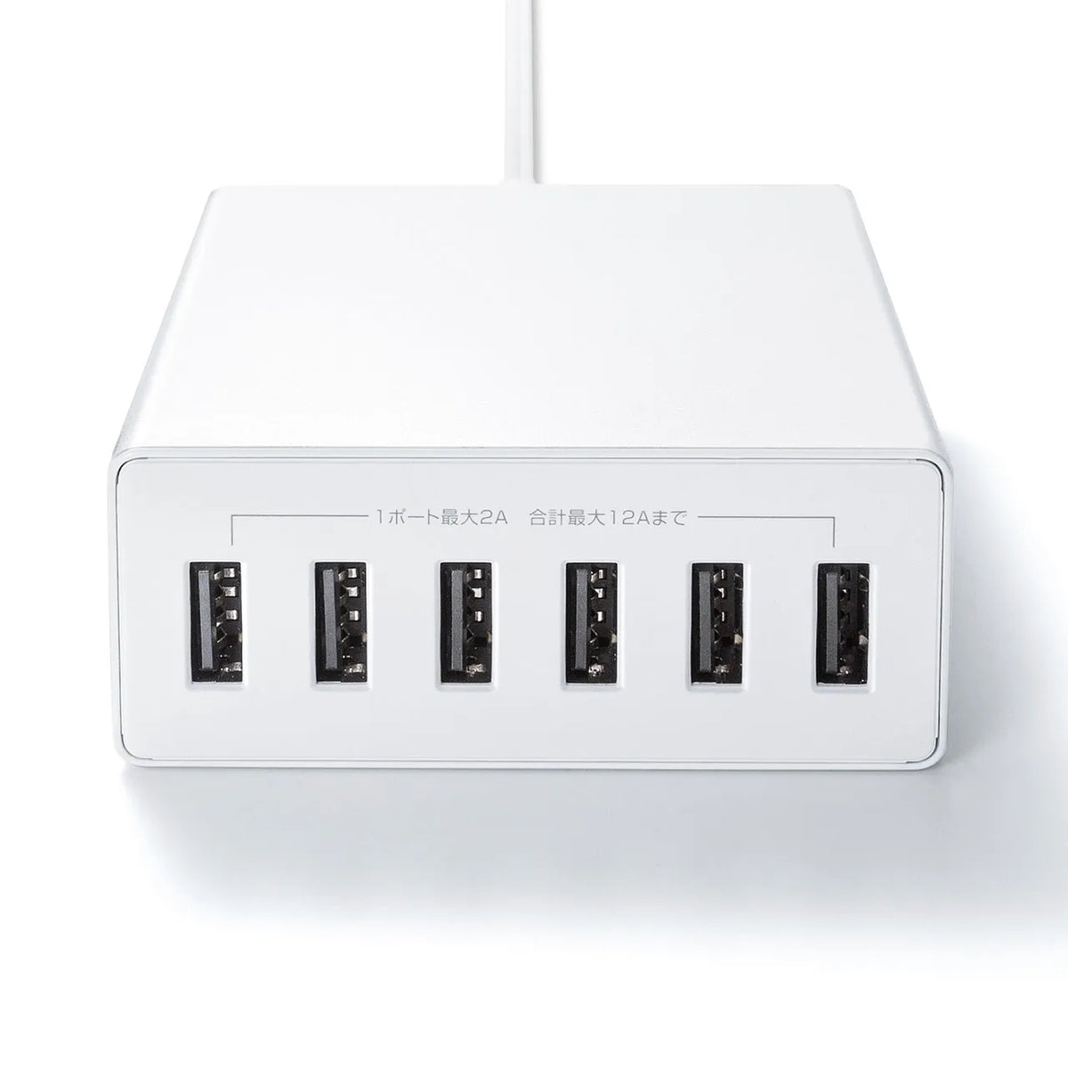 USB充電器（6ポート・合計12A・ホワイト） ACA-IP67W