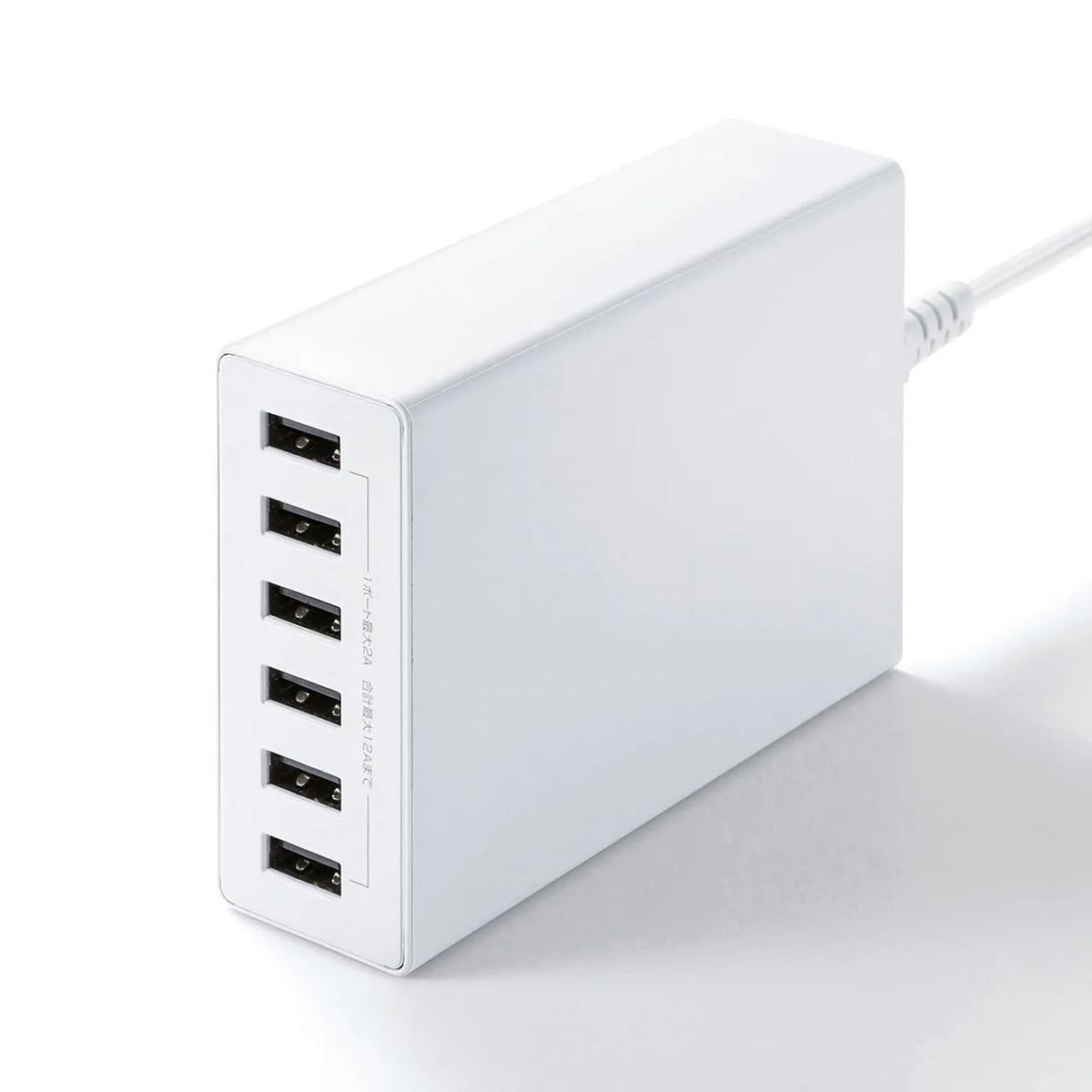 USB充電器（6ポート・合計12A・ホワイト） ACA-IP67W
