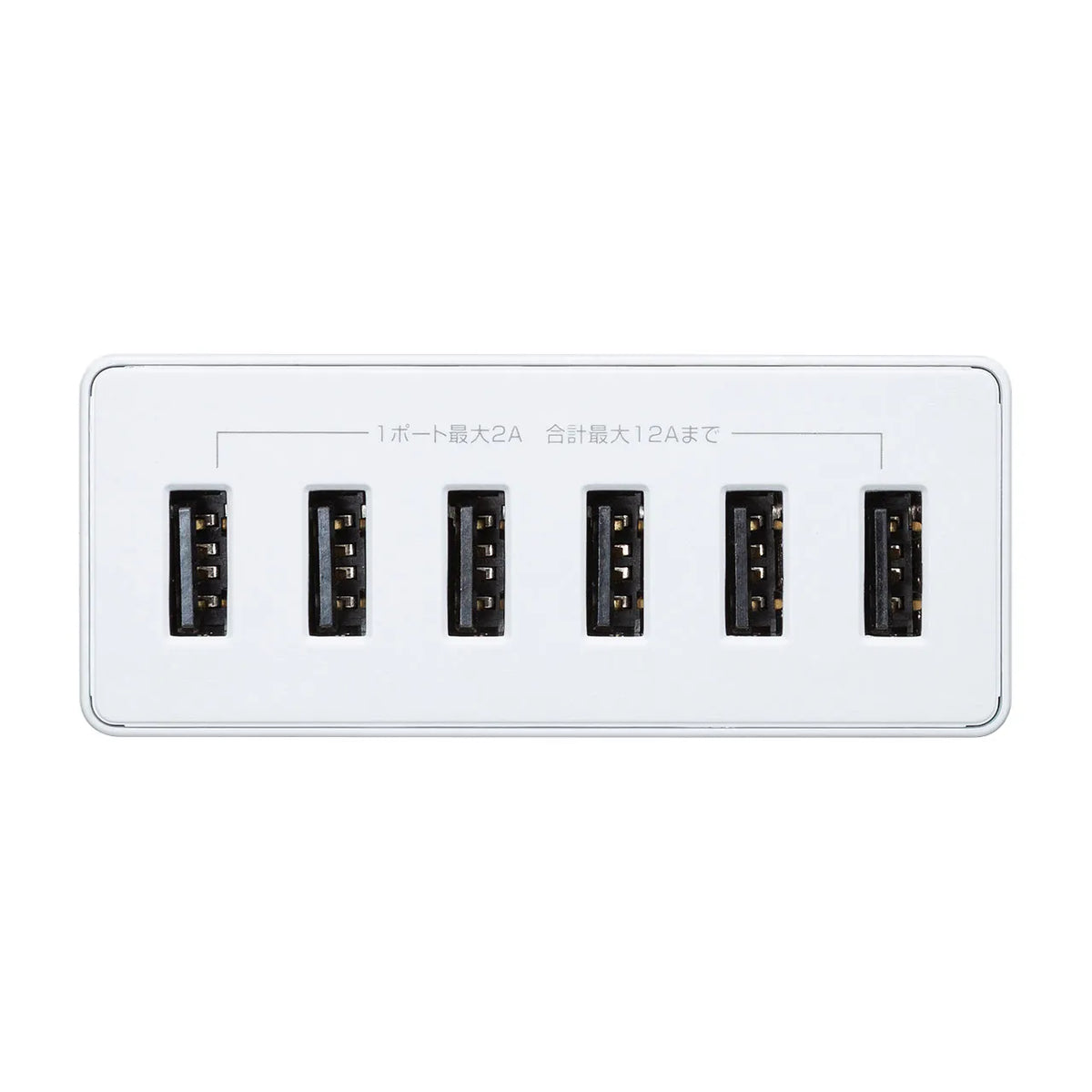 USB充電器（6ポート・合計12A・ホワイト） ACA-IP67W