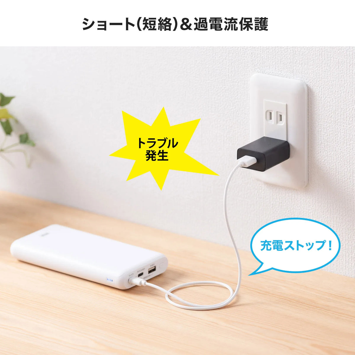 USB充電器（1A・ブラック） ACA-IP86BK
