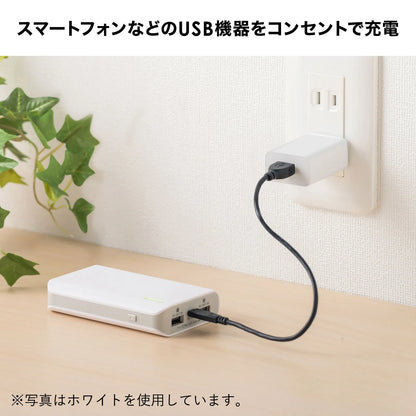 USB充電器（1A・ブラック） ACA-IP86BK