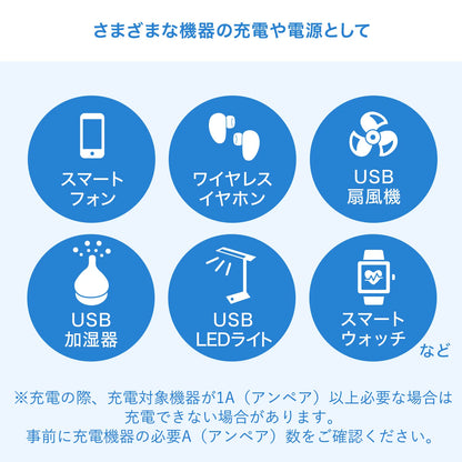 USB充電器（1A・ブラック） ACA-IP86BK