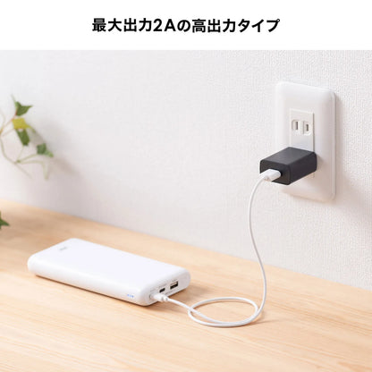 USB充電器（2A・ブラック） ACA-IP87BK