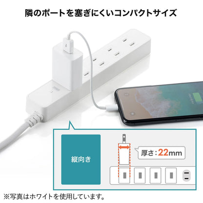 USB充電器（2A・ブラック） ACA-IP87BK