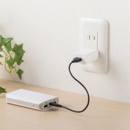USB充電器（2A・ホワイト） ACA-IP87W