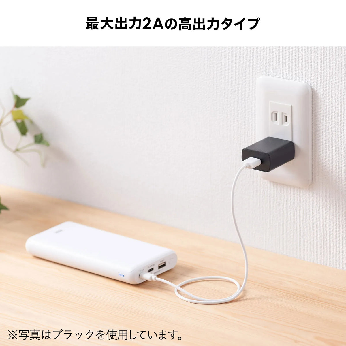 USB充電器（2A・ホワイト） ACA-IP87W