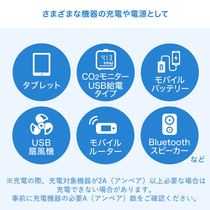 USB充電器（2A・ホワイト） ACA-IP87W