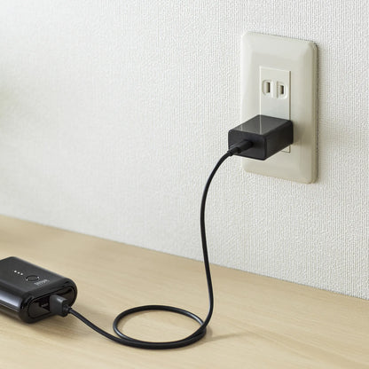USB Type-C充電器（1ポート・3A） ACA-IP92BK