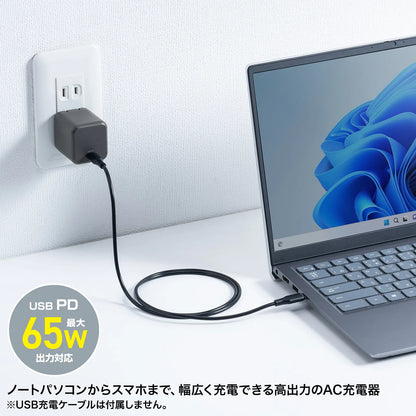 USB PD compatible cube-type AC charger (PD65W) ACA-PD105BK