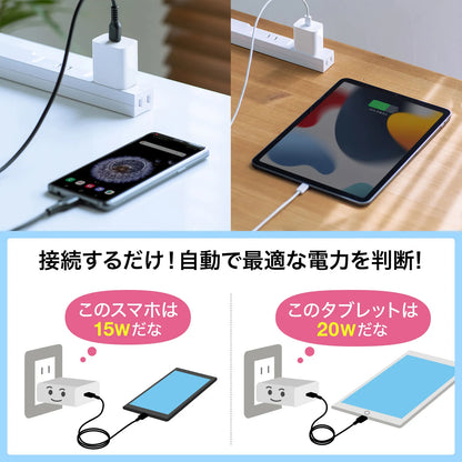 USB PD compatible AC charger (PD20W) ACA-PD90W