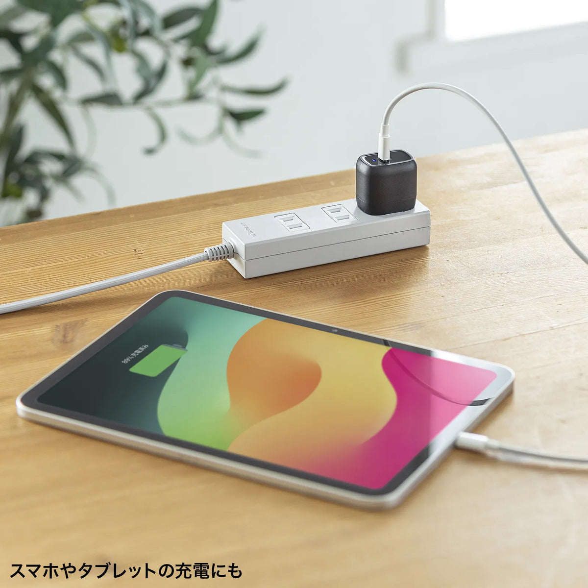 USB PD compatible AC charger (PD30W) ACA-PD99BK