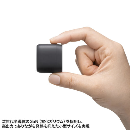 USB PD compatible AC charger (PD30W) ACA-PD99BK