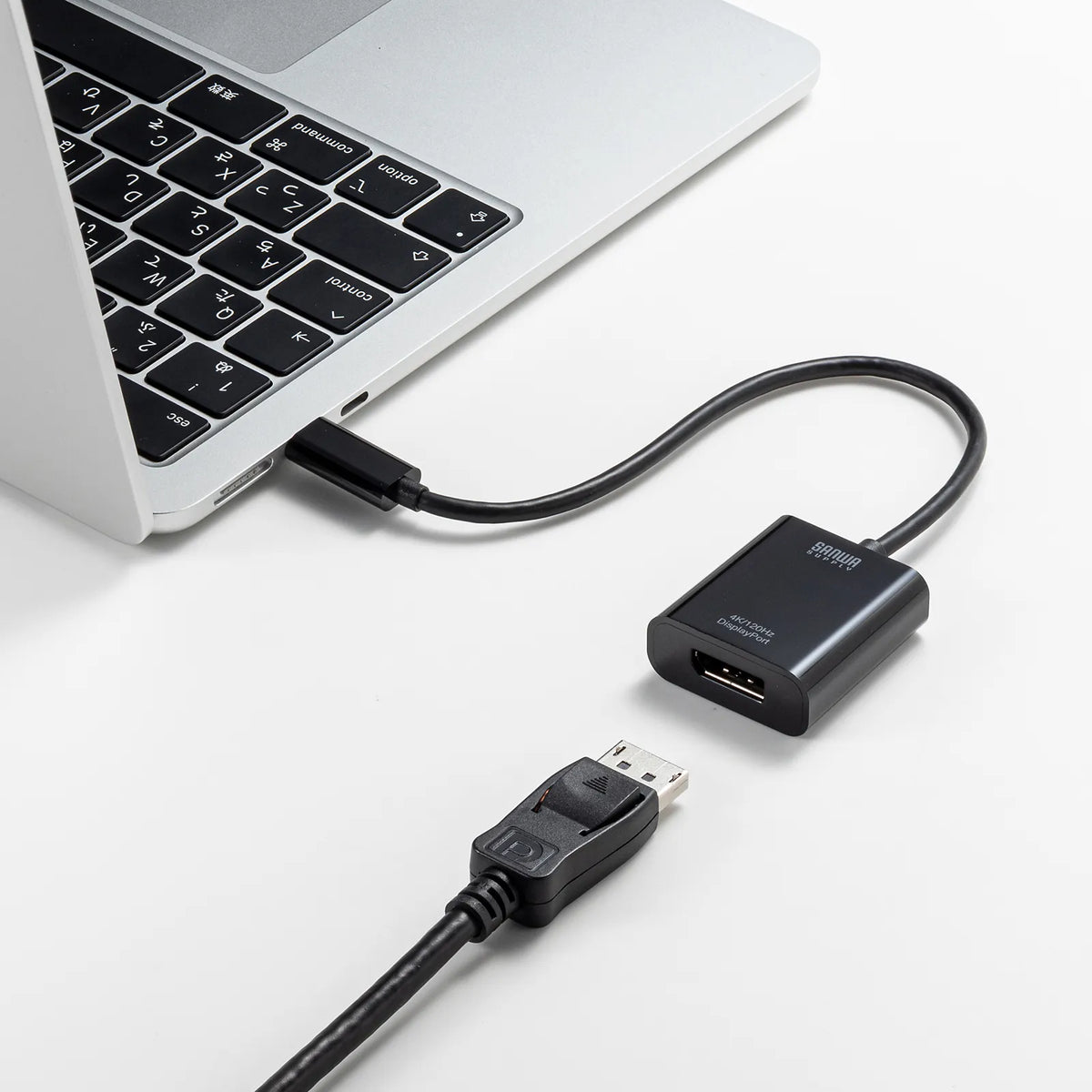 USB Type C-DisplayPort変換アダプタ(4K/120Hz/HDR対応） AD-ALCDP02