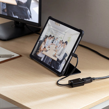 USB Type C-DisplayPort変換アダプタ(4K/120Hz/HDR対応） AD-ALCDP02