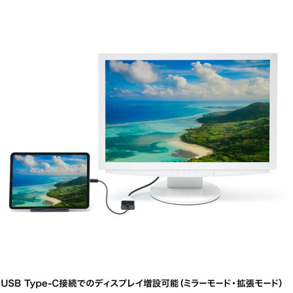 USB Type C to DVI Conversion Adapter AD-ALCDV