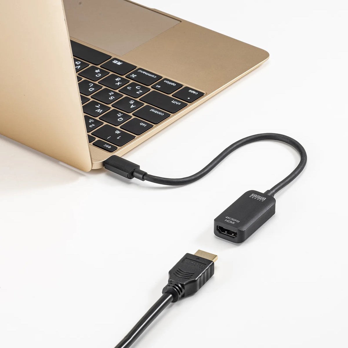USB Type C to HDMI Conversion Adapter (4K/30Hz) AD-ALCHD02