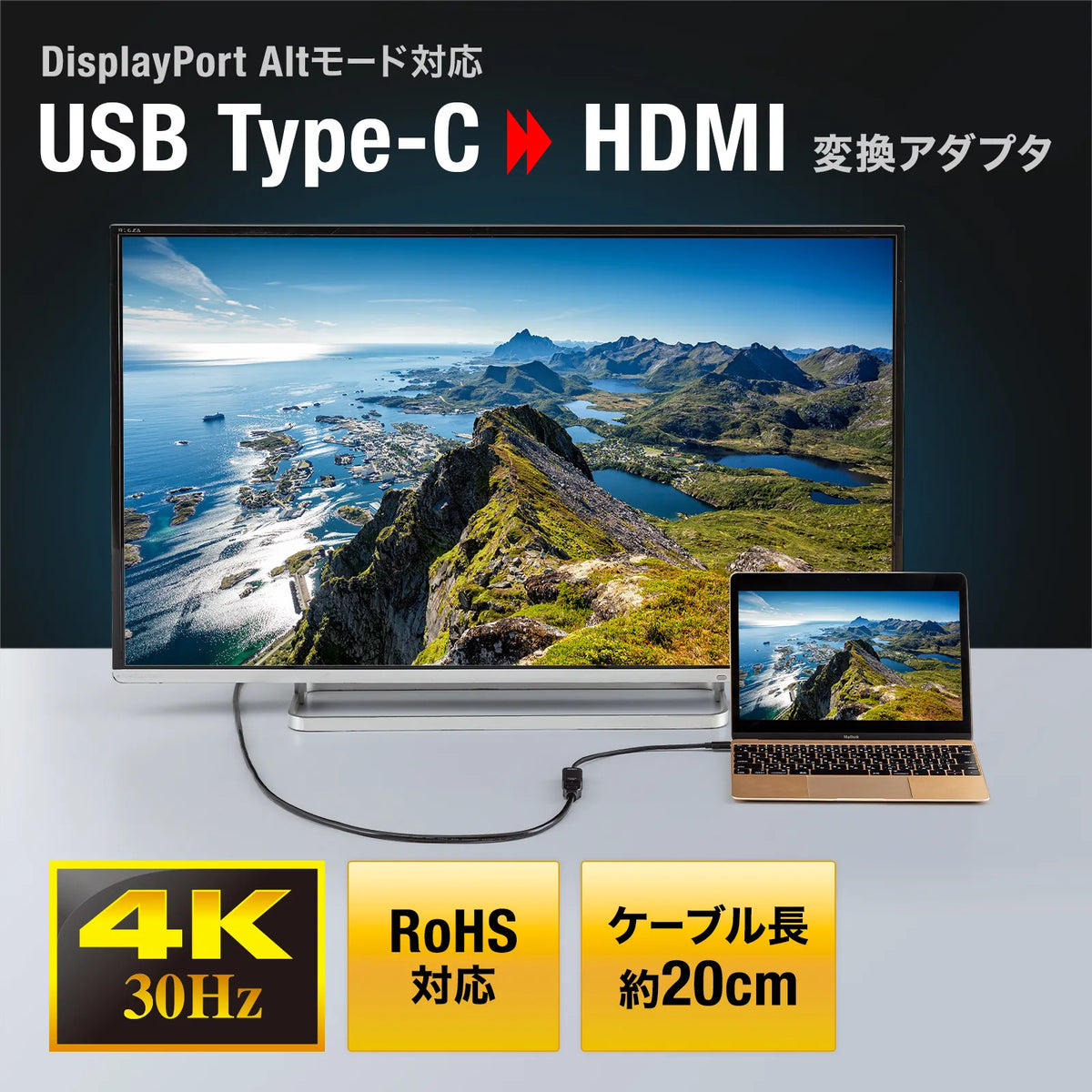 USB Type C to HDMI Conversion Adapter (4K/30Hz) AD-ALCHD02