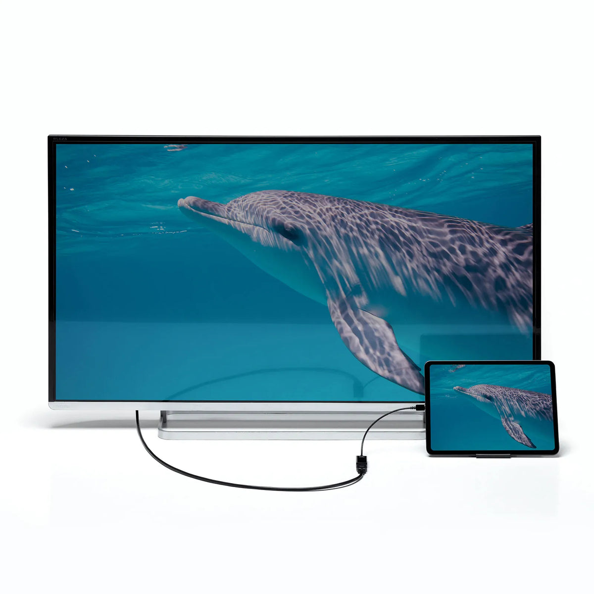USB Type C-HDMI変換アダプタ(4K/60Hz/HDR対応) AD-ALCHDR02