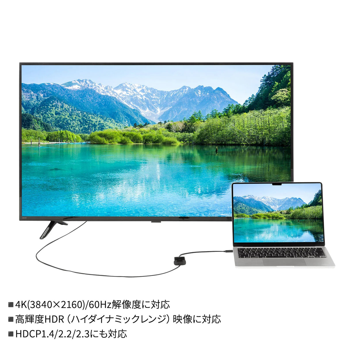 USB Type C to HDMI Conversion Adapter (4K/60Hz/HDR, Simple Package Version) AD-ALCHDR04TK