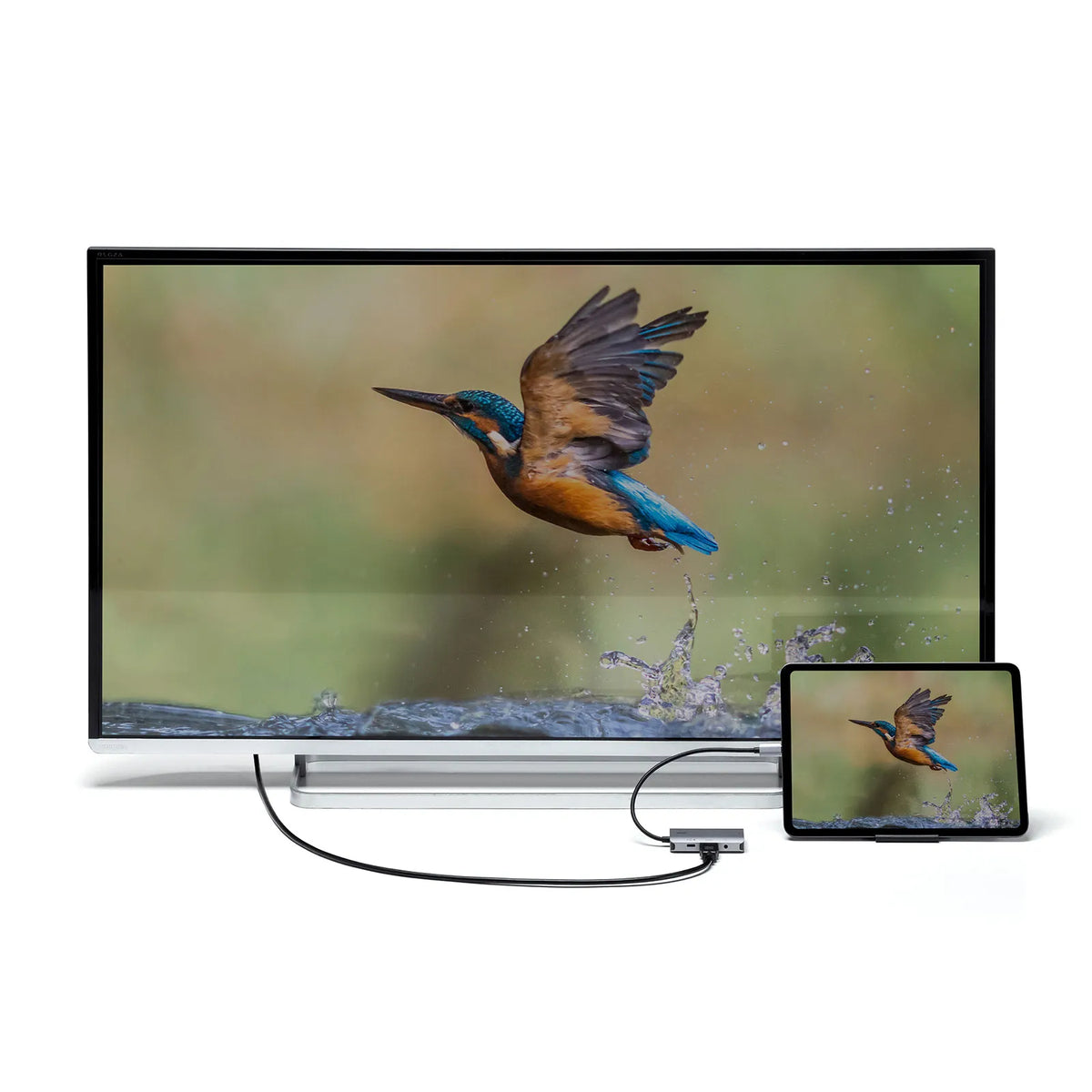 USB Type C-HDMI/VGA変換アダプタ(4K/30Hz/PD対応) AD-ALCHV02