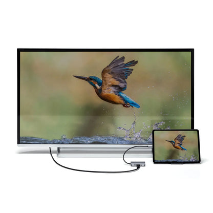 USB Type C-HDMI/VGA変換アダプタ(4K/30Hz/PD対応) AD-ALCHV02