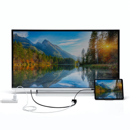USB Type C-HDMI変換アダプタ(4K/60Hz/PD対応) AD-ALCPHDPD