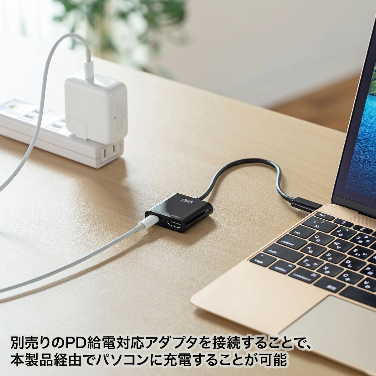 USB Type C-HDMI変換アダプタ(4K/60Hz/PD対応) AD-ALCPHDPD