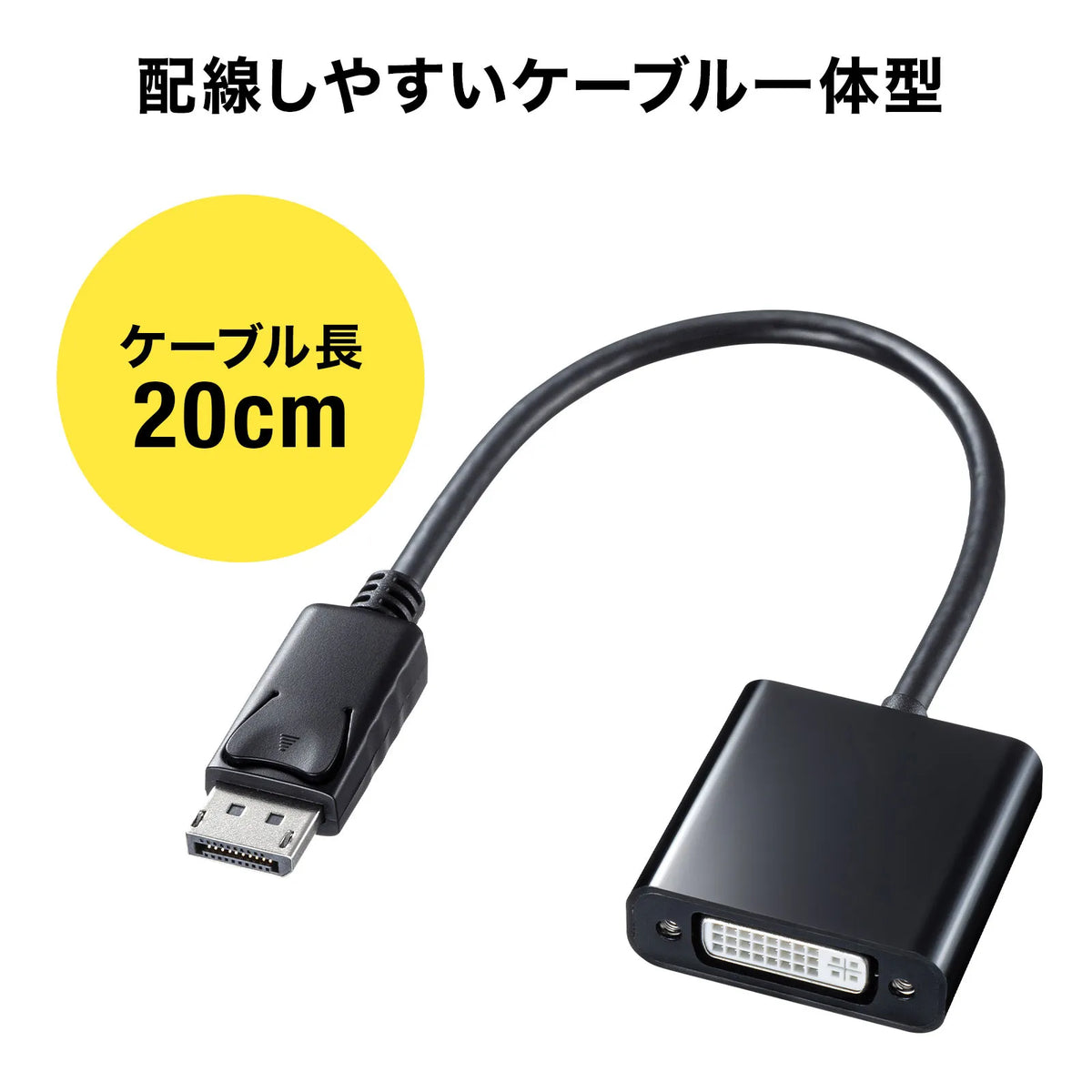 DisplayPort to DVI Conversion Adapter AD-DPDV04