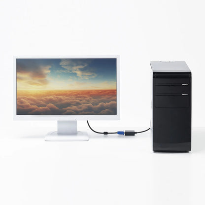 DisplayPort to VGA Conversion Adapter AD-DPV06