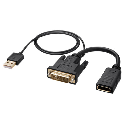 DVI-to-DisplayPort Conversion Adapter (4K/30Hz) AD-DVDP01