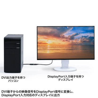 DVI-to-DisplayPort Conversion Adapter (4K/30Hz) AD-DVDP01