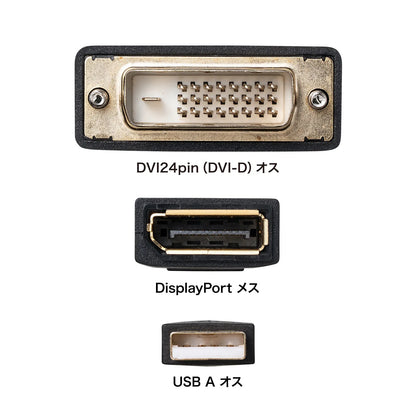 DVI-to-DisplayPort Conversion Adapter (4K/30Hz) AD-DVDP01