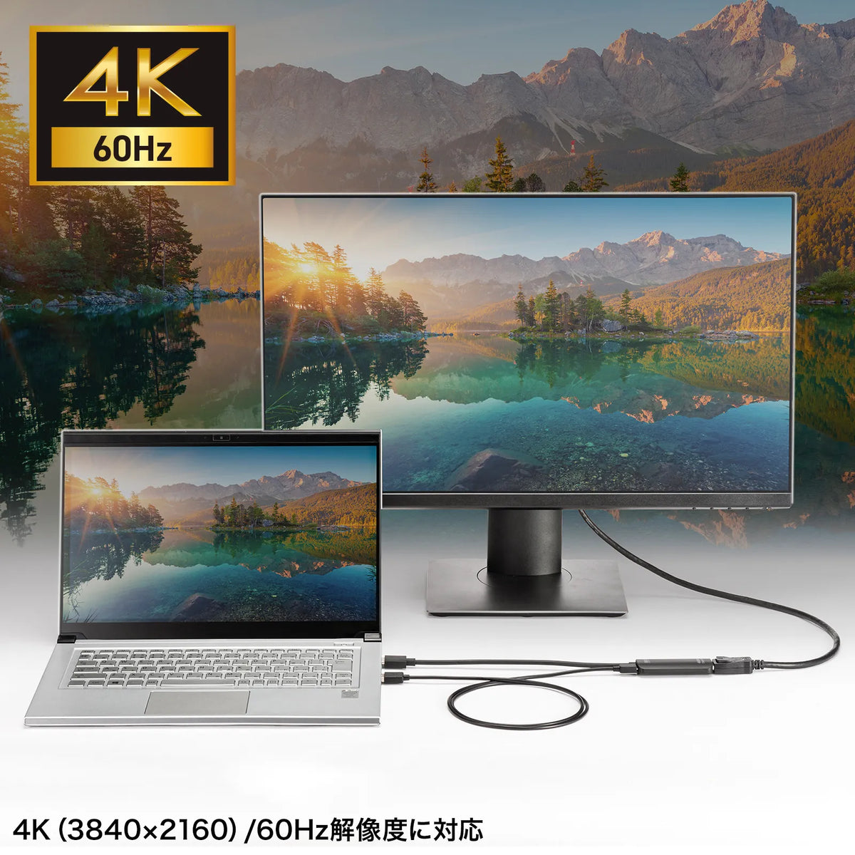 HDMI-to-DisplayPort conversion adapter (4K/60Hz) AD-HD31DP