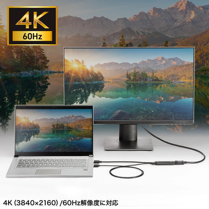 HDMI-to-DisplayPort conversion adapter (4K/60Hz) AD-HD31DP