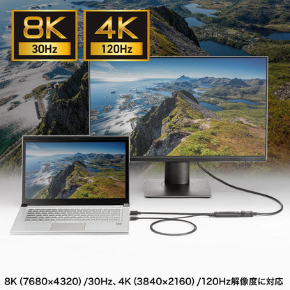 HDMI-DisplayPort変換アダプタ(8K/30Hz) AD-HD32DP