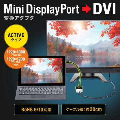 Mini DisplayPort-DVI変換アダプタ(Activeタイプ) AD-MDPDVA02