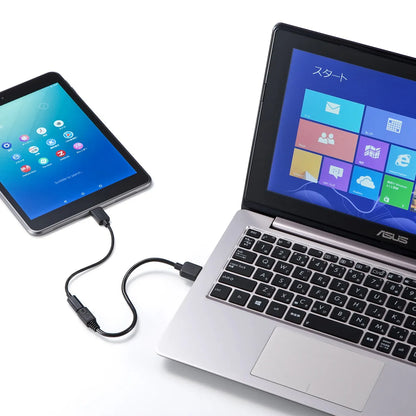 Type-C to USB 2.0 to microB conversion adapter cable AD-USB25CMCB