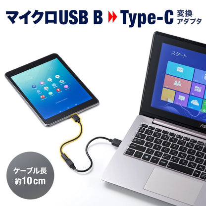 Type-C to USB 2.0 to microB conversion adapter cable AD-USB25CMCB