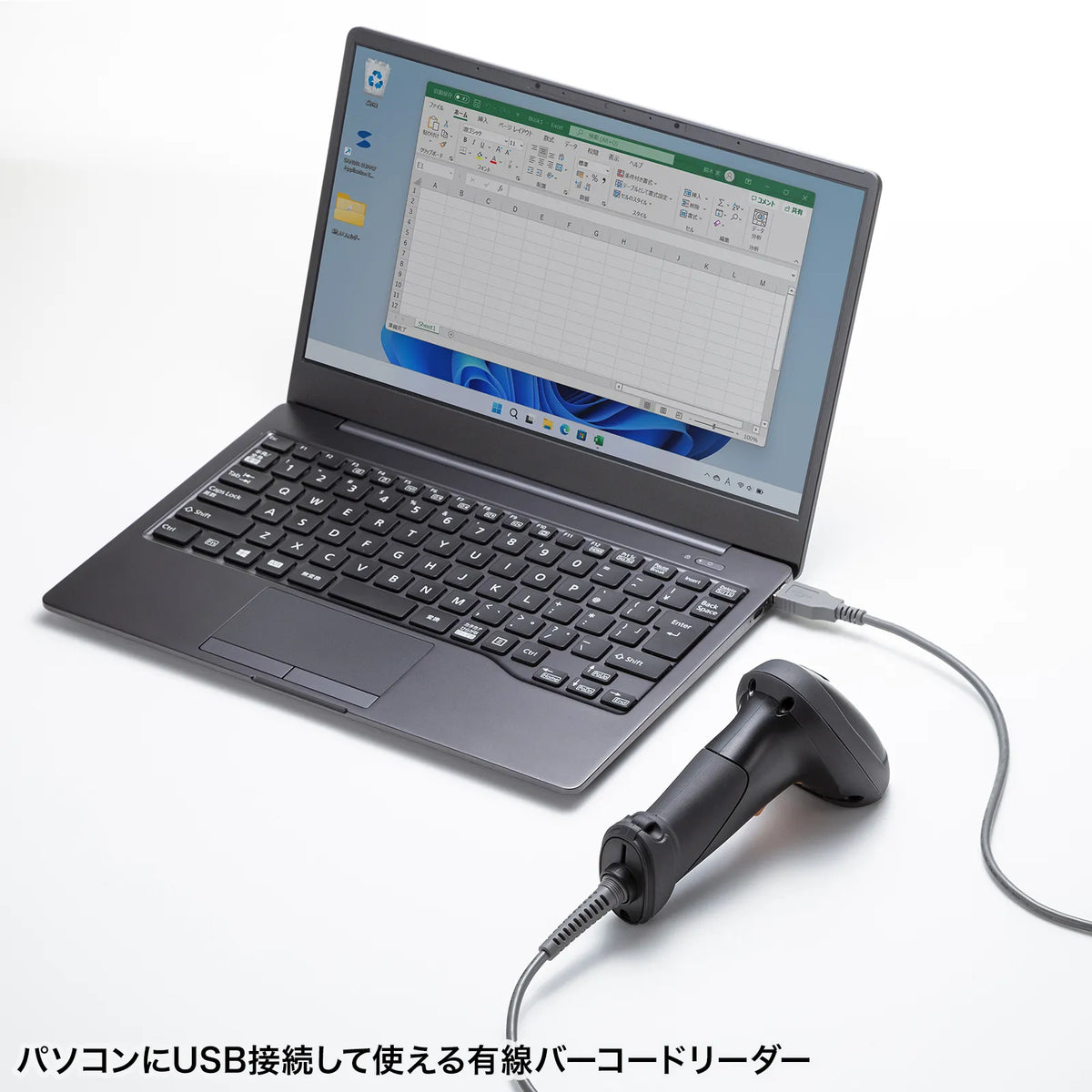 2D Barcode Reader (with Verification Function) BCR-2D12