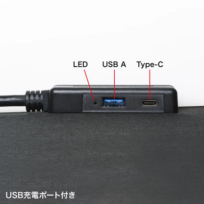 Portable Solar Panel (100W) BTL-SP1